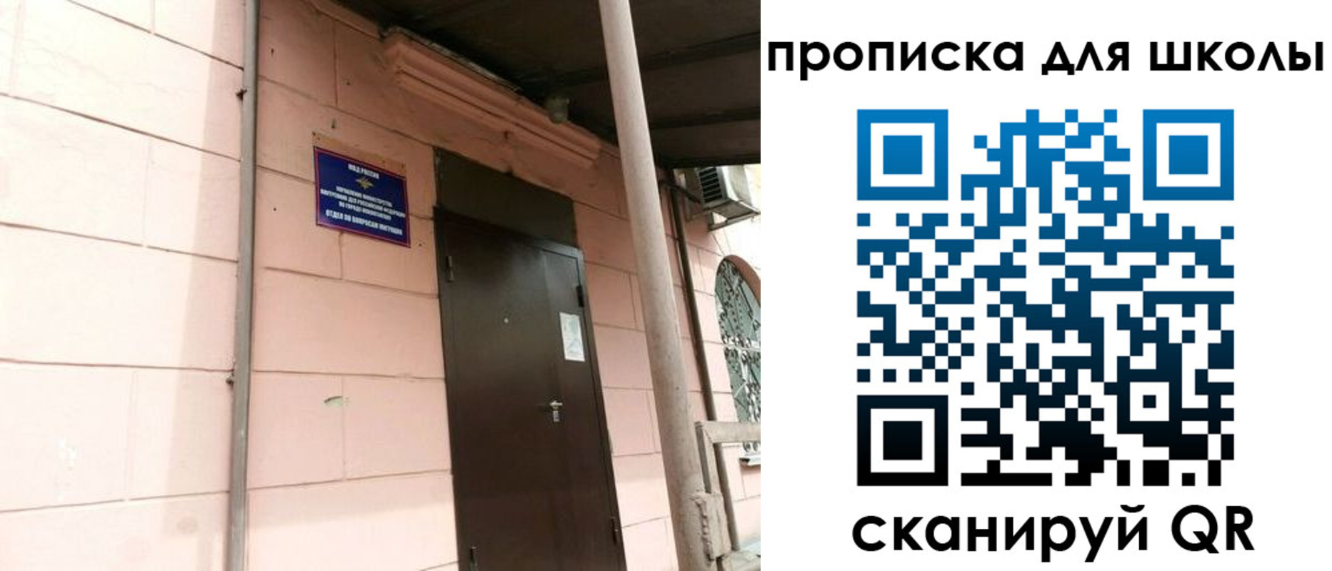 прописка для работы в Светлогорске