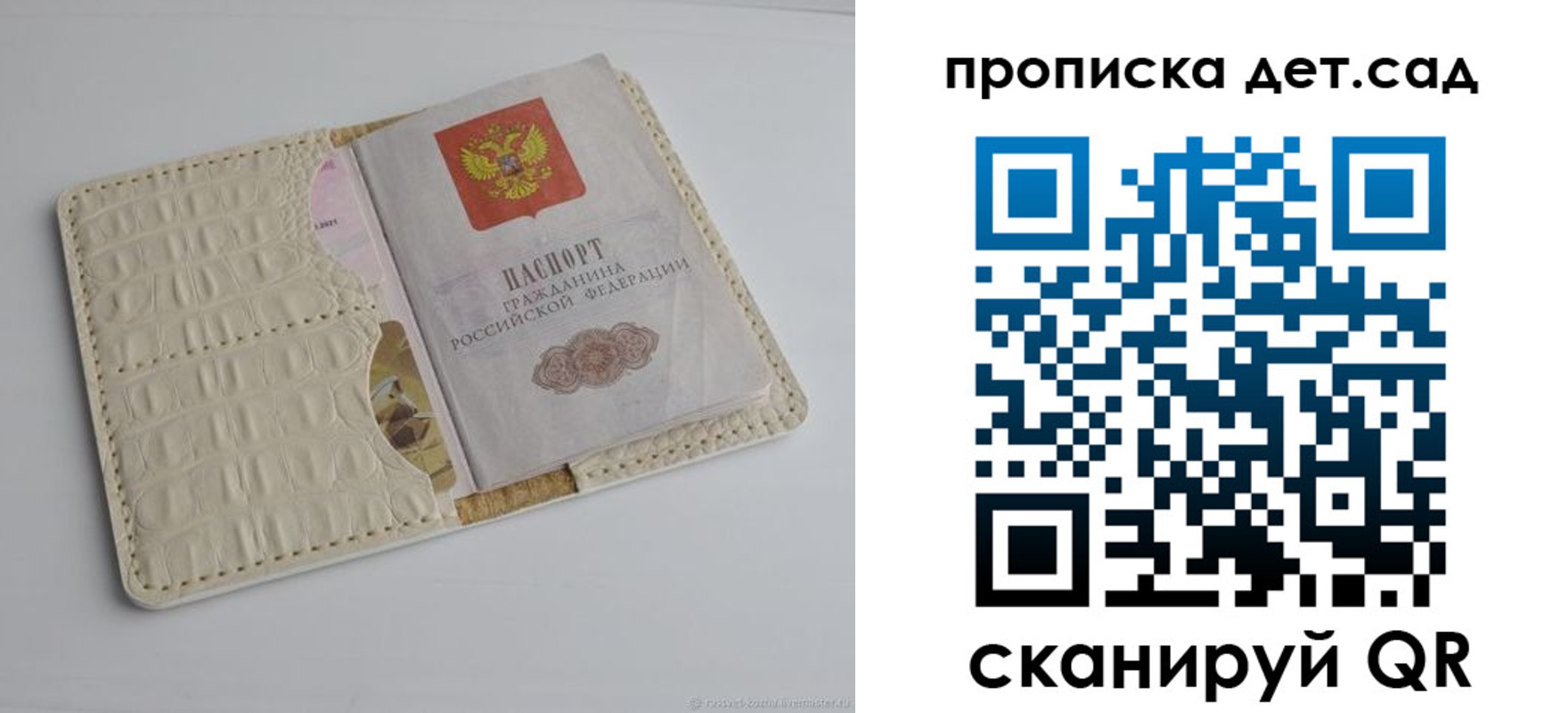 где прописаться в Светлогорске